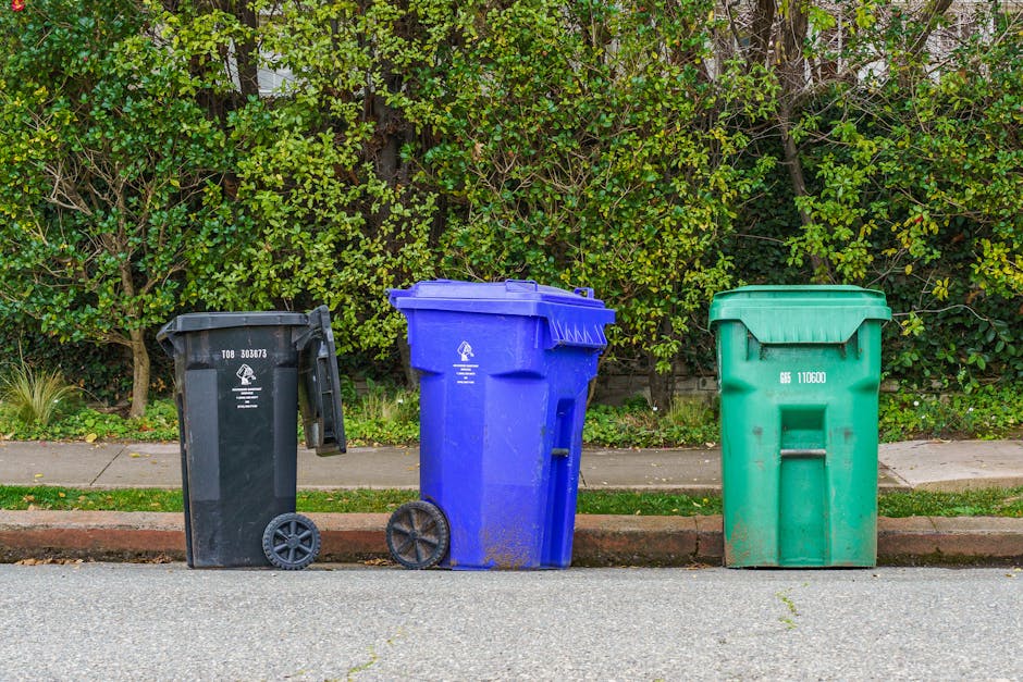 Three large wheeled rubbish bins are positioned in a row on the edge of a pavement, each made of durable plastic with a textured finish. The left bin is black with a closed lid and stands upright, while the middle bin is blue with a partially open lid, slightly taller with more prominent ridges on its surface. The right bin is green, also with a closed lid, and appears to be slightly bent at the front. All three bins are placed on a curb's concrete edge, with small patches of grass and weeds visible close to their bases. Behind the bins, a dense hedge of leafy green foliage forms the background, with hints of branches and trunks appearing through the dense leaves. The scene is illuminated by natural daylight, providing clear visibility of the colours, textures, and details of the bins and surrounding environment, consistent with a typical residential area that may engage services from Rubbish Removal Catford for waste collection and alternative disposal methods.